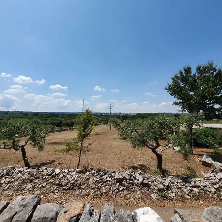 Il Trullo Sogni E Ricordi Apartamento *